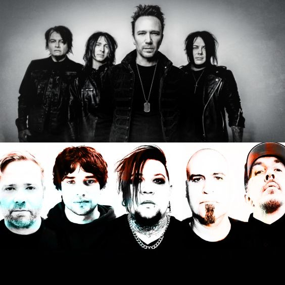 <a href=index.html Education in Callousness</a>